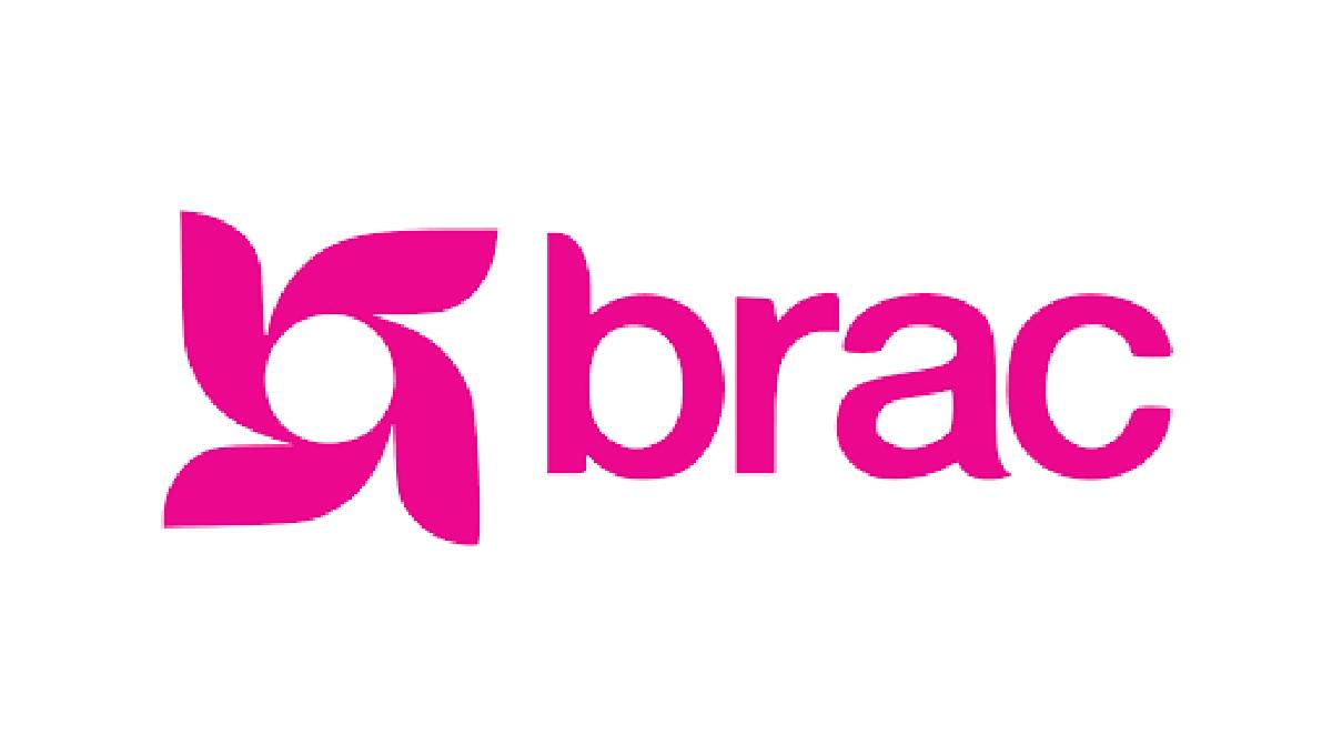 BRAC Internship