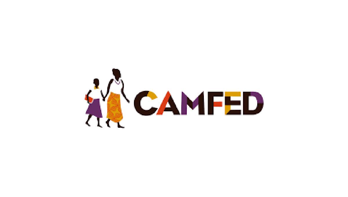 Camfed Internship