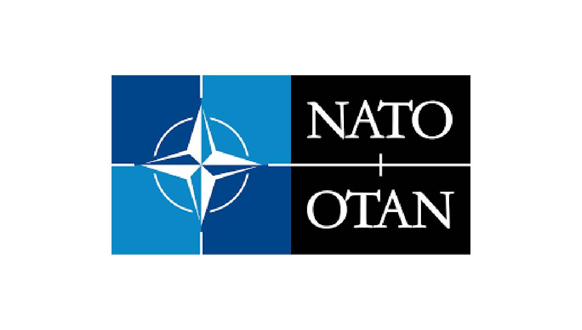 NATO Internship