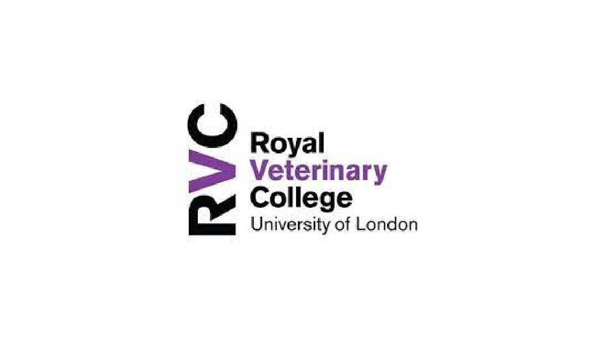 RVC Internship